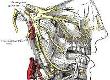 Trigeminal Neuralgia: Does it Cause Headaches?